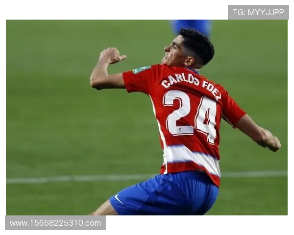 布雷迪伯明翰被警告错失升级良机